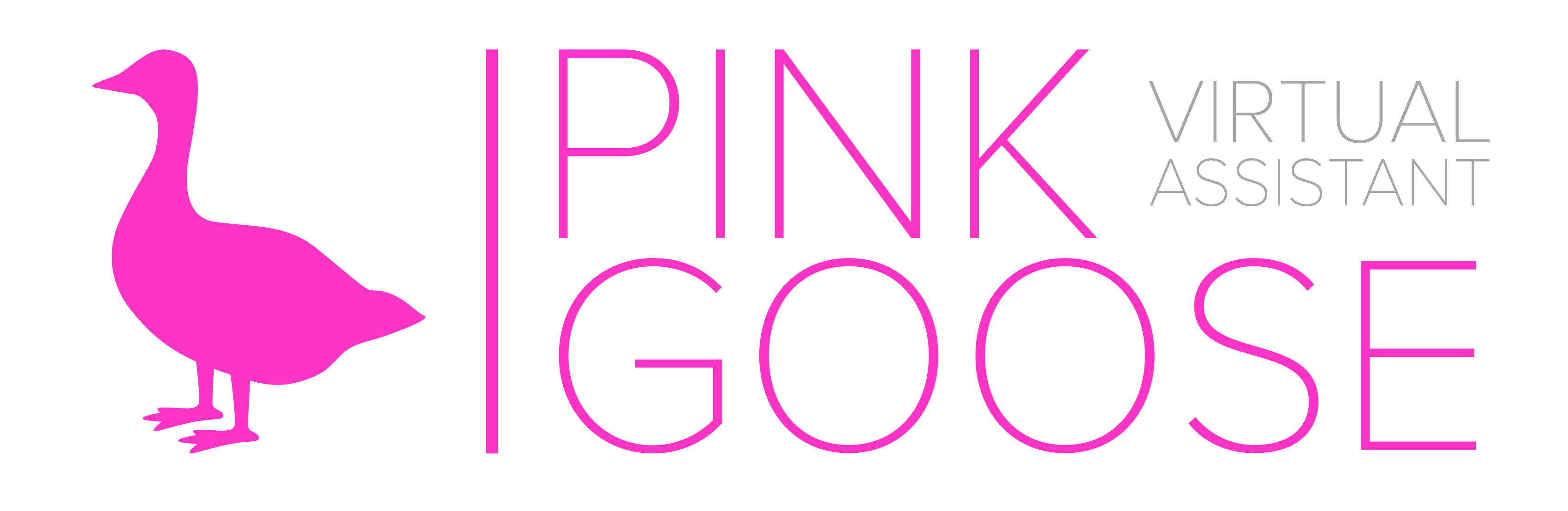 Pink Goose
